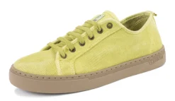 Natural World Clavel Sale