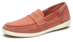 Natural World Old Giancito Flash Sale