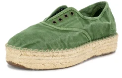 Natural World Old Zen Best Sale