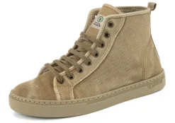 Natural World Sauco Clearance