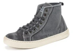 Natural World Sauco Clearance