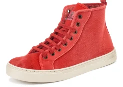 Natural World Sauco Clearance