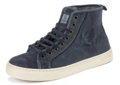 Natural World Sauco Clearance