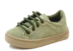 Natural World Zoilo Shop