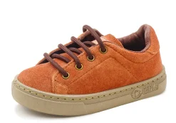 Natural World Zoilo Shop