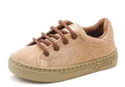 Natural World Zoilo Shop